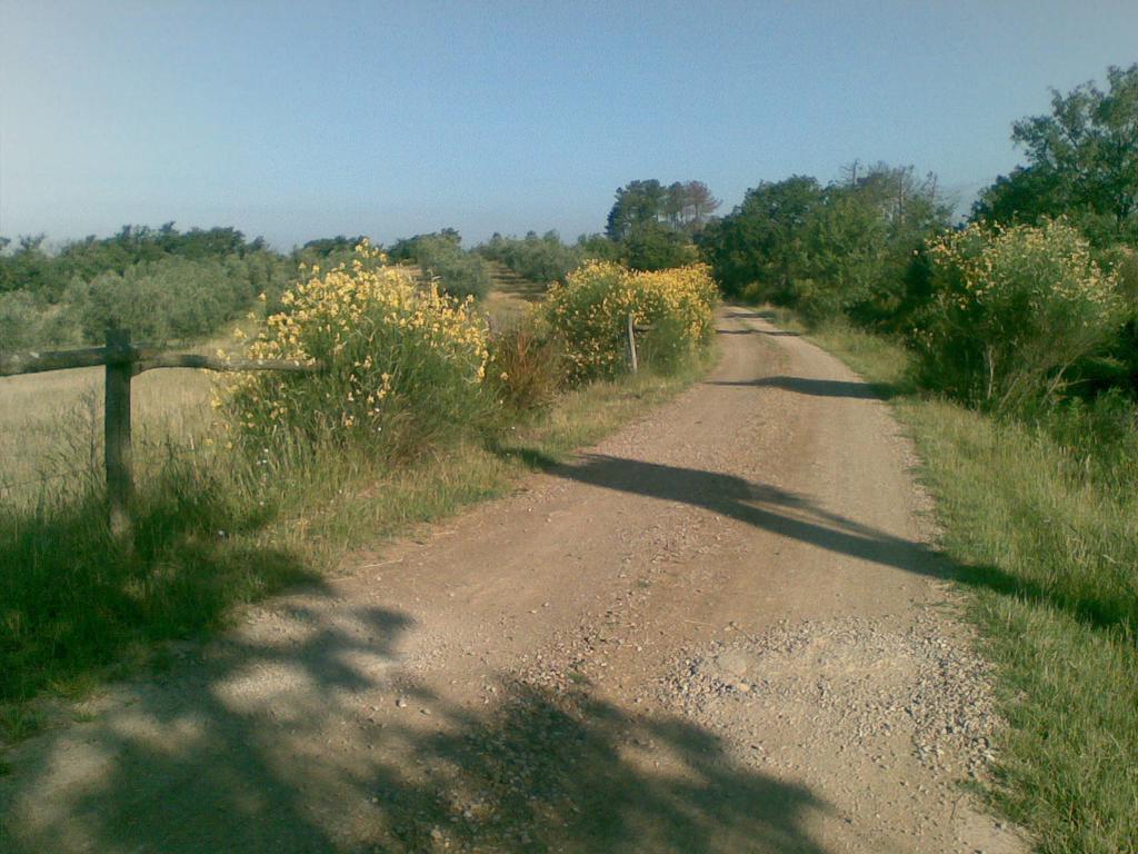 Podere Campovecchio Rapale Exteriör bild