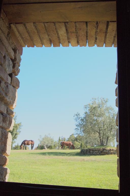 Podere Campovecchio Rapale Rum bild