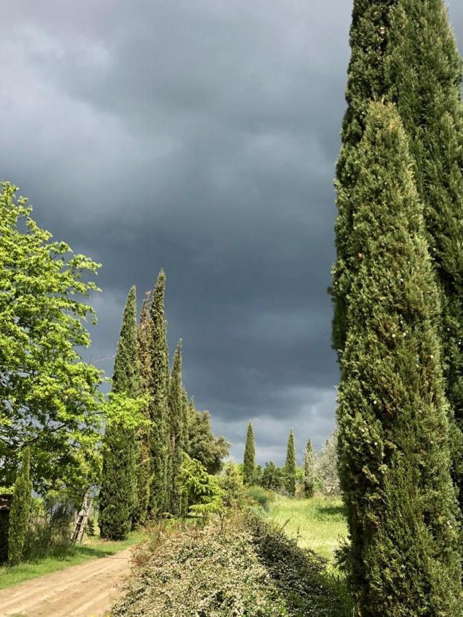 Podere Campovecchio Rapale Exteriör bild
